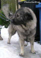 Emina 3,5 years