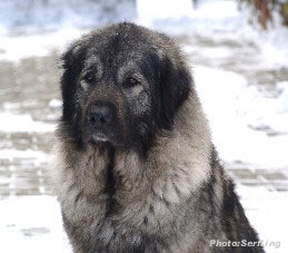 Emina 3,5 years