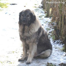 Emina 3,5 years