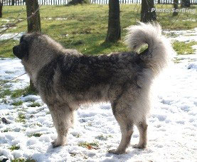Emina 3,5 years