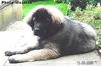Emir 2,5 months