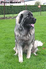 Emir 9,5 months
