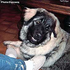 Ena 6 months