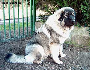 Ena 9 months