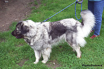 Ena 2 years