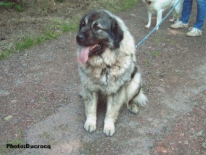 Ena 3 years