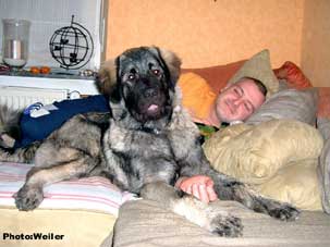 Eros 6 months