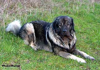 Eros 22 months