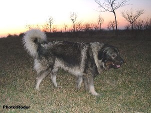 Eros 24 months