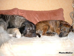 Eros 3 ans