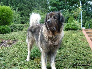 Eros 3 ans