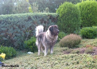 Eros 3 ans