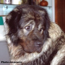 Eros 3 years