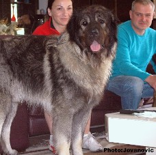 Eros 3 years
