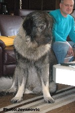 Eros 3 ans