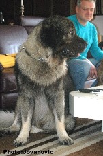 Eros 3 years