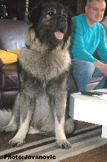 Eros 3 years