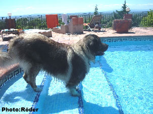 Eros 6 years