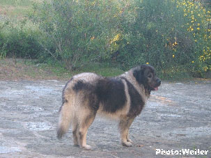 Eros 6 years