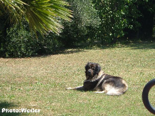 Eros 6 years