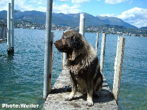 Eros 6 ans
