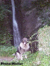 Eros 6 years