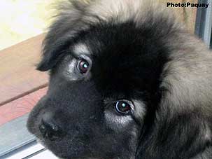 Femka 2,5 months