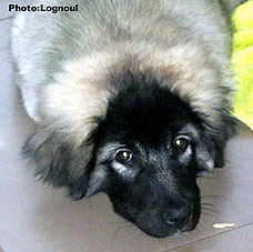 Femka 3,5 months