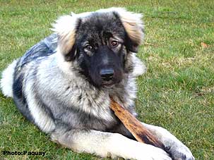 Femka 7 months