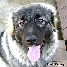 Femka 7 months