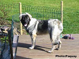 Femka 7 months
