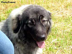 Femka 8,5 months