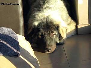 Femka 8,5 months