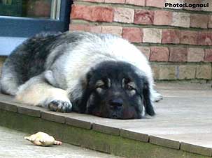 Femka 10 months