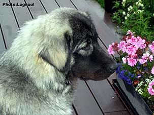 Femka 10 months