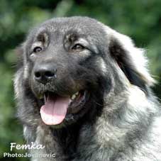Femka 10 months
