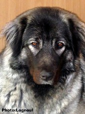 Femka 15 months