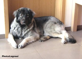 Femka 15 months