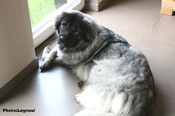 Femka 17 months