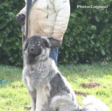 Femka 17 months