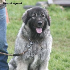 Femka 17 months