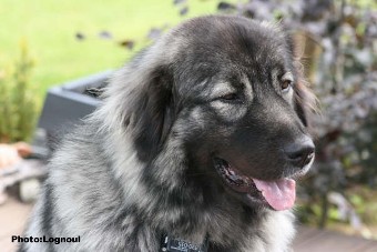 Femka 23 months