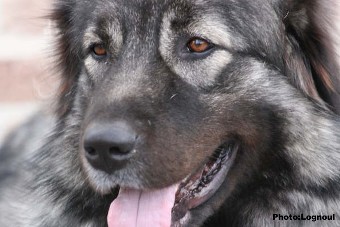 Femka 23 months