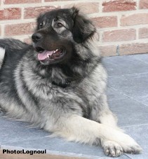 Femka 23 months