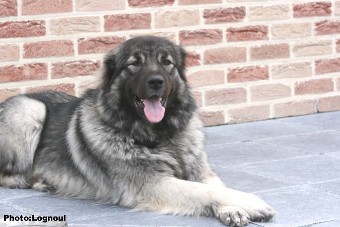 Femka 23 months