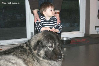 Femka 2,5 years