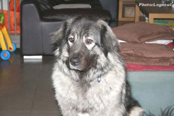 Femka 2,5 years