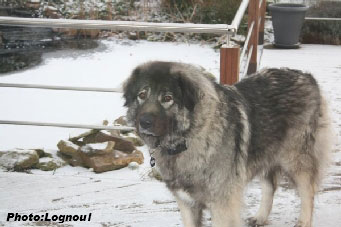 Femka 3 years
