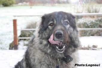 Femka 3 years