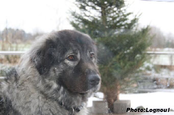 Femka 3 years